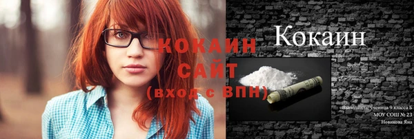 гашик Балахна