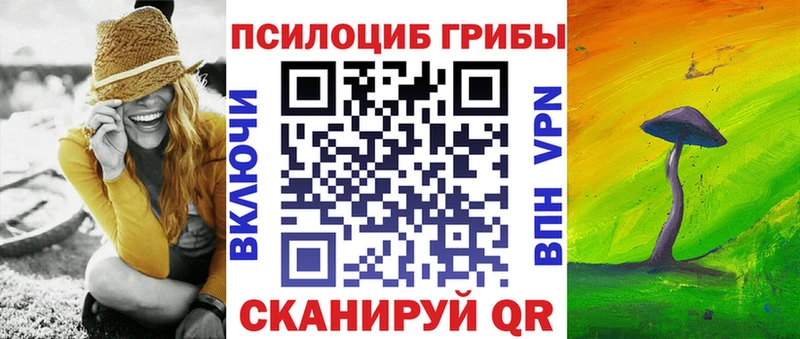 Псилоцибиновые грибы Cubensis  блэк спрут ТОР  Сегежа  купить наркотики сайты 